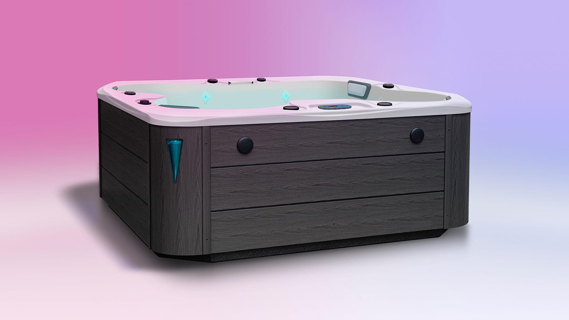 EcoSpa Hot Tub